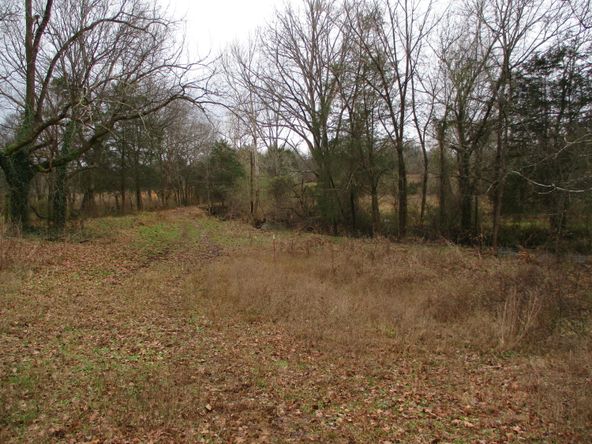 Highway 11 & County Rd 716: Highway 11 & County Rd 716, Riceville, TN 37370